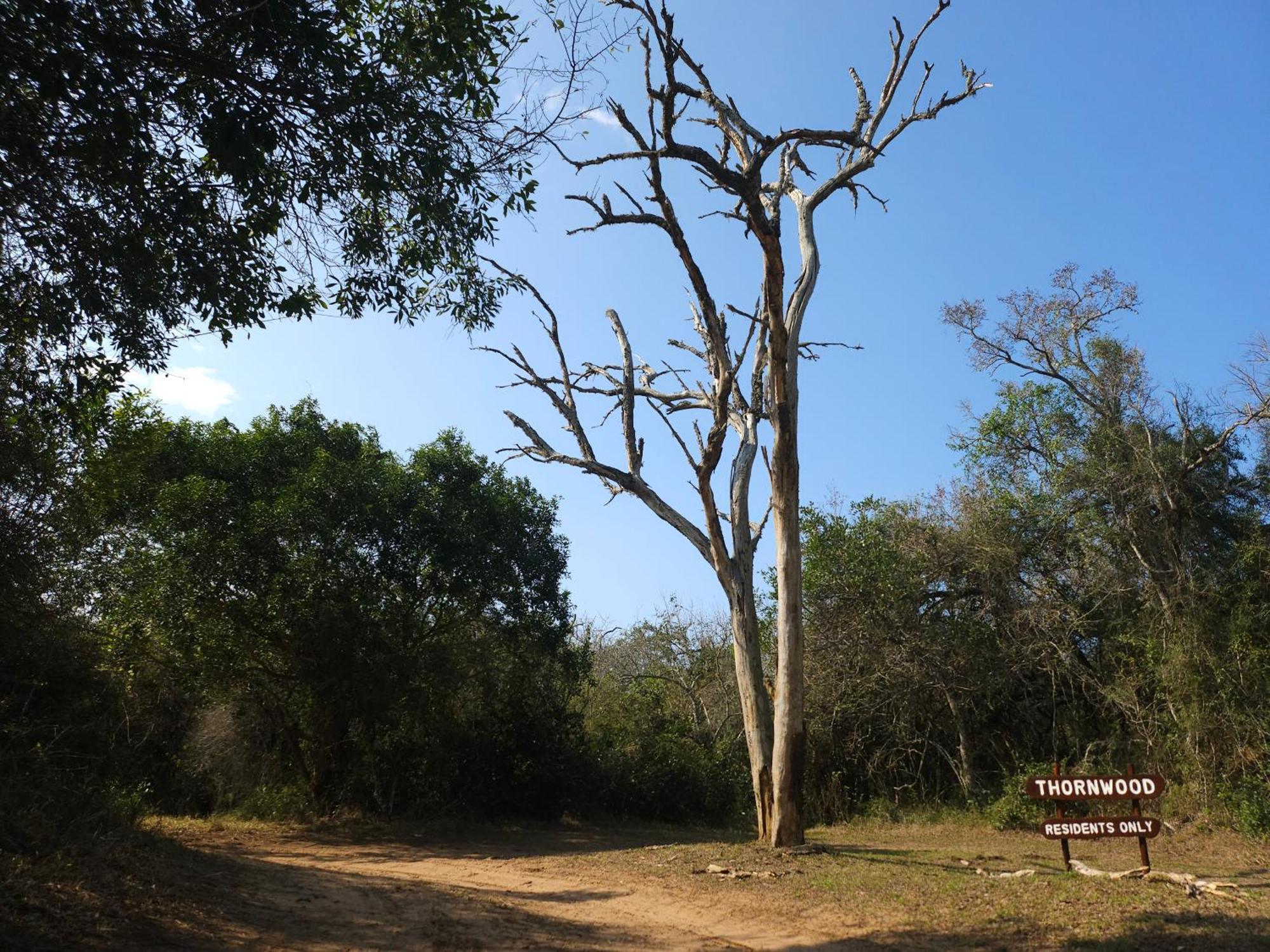 Thornwood Vila Hluhluwe Exterior foto