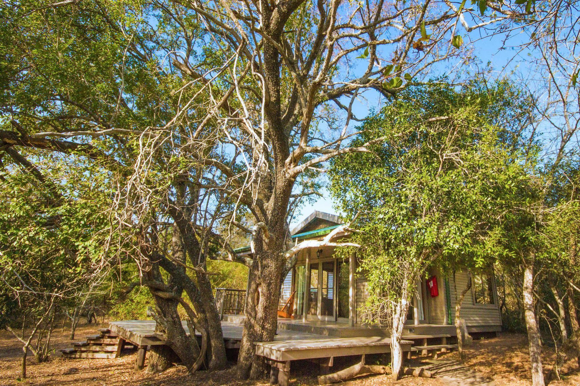 Thornwood Vila Hluhluwe Exterior foto